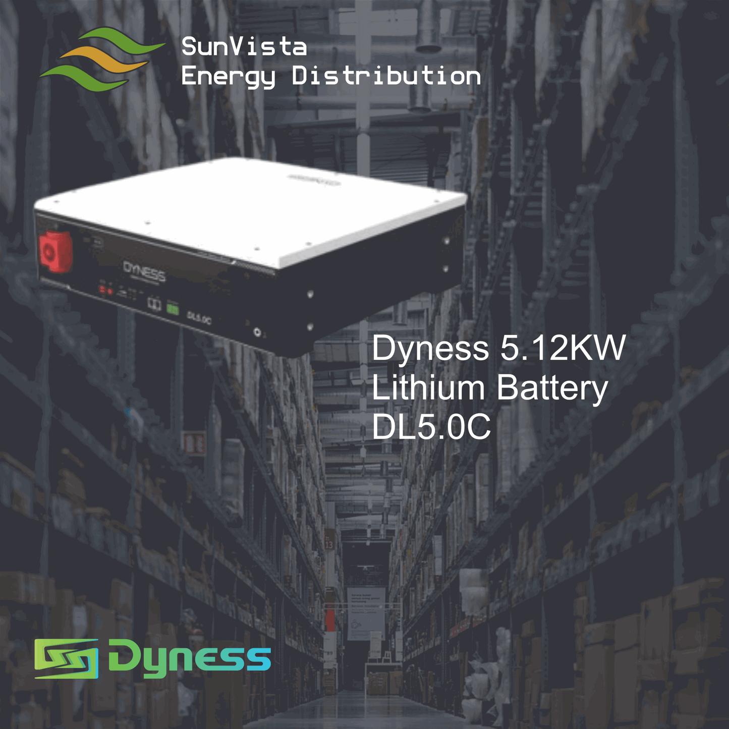 DYNESS LITHIUM BATTERY DL5.0C 5.12 KWH 51.2V